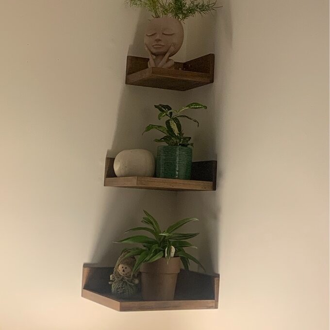 Corner Wall Shelf