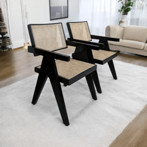 Modern set of 2 chairs for living room