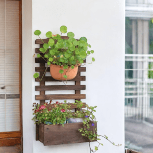 wall hanging plant pots outdoor